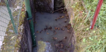 La Guida - L’Acda chiede il divieto dell’uso alimentare dell’acqua a Cuneo, Borgo, Boves, Cervasca, Castelletto Stura e Vignolo