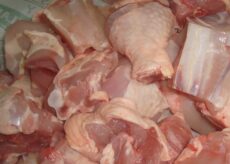 La Guida - Gdf Fossano, sequestrata una tonnellata di carne senza tracciabilità