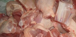 La Guida - Gdf Fossano, sequestrata una tonnellata di carne senza tracciabilità