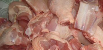 La Guida - Gdf Fossano, sequestrata una tonnellata di carne senza tracciabilità