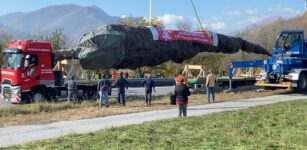 La Guida - L’abete di Macra in viaggio per il Vaticano, da giovedì in piazza San Pietro