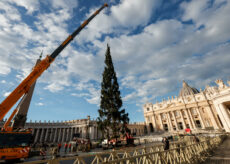 La Guida - Da Macra a piazza San Pietro, l’arrivo dell’albero per il Papa (video)
