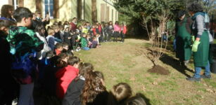 La Guida - Piantumato un pero nel prato della scuola di Spinetta