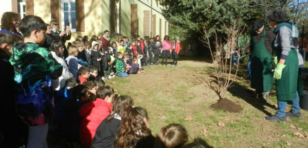 La Guida - Piantumato un pero nel prato della scuola di Spinetta