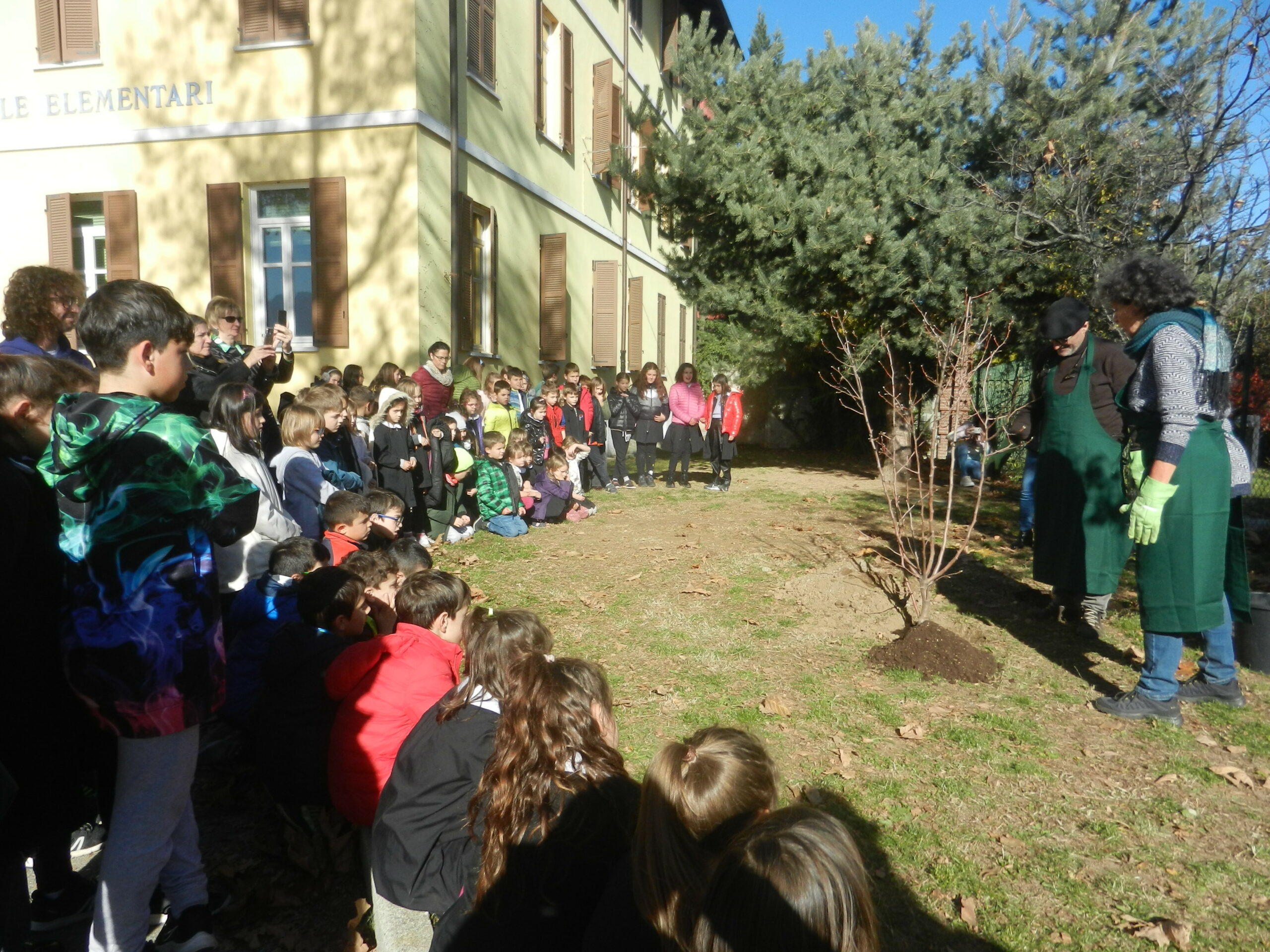 Pero piantumato a scuola a Spinetta