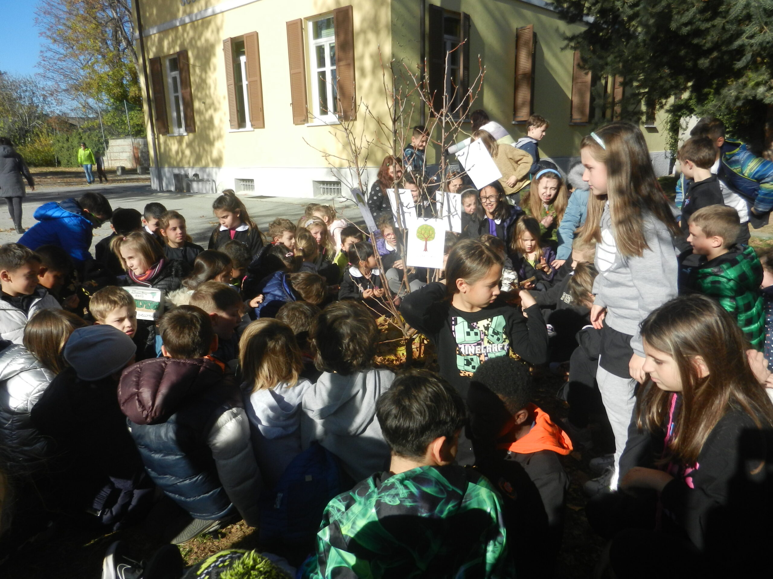 Pero piantumato a scuola a Spinetta