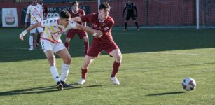 La Guida - Serie D: Alba in bianco, Bra corsaro
