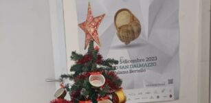 La Guida - Nel municipio di Borgo un albero di Natale speciale