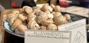 La Guida - Problematiche dell’allevamento dell’Helix Pomatia