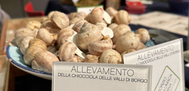 La Guida - Problematiche dell’allevamento dell’Helix Pomatia