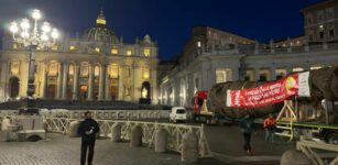 La Guida - Si accendono le luci dell’albero di Macra e posto in piazza San Pietro a Roma