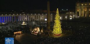 La Guida - L’albero della valle Maira in piazza San Pietro, speranza per la montagna