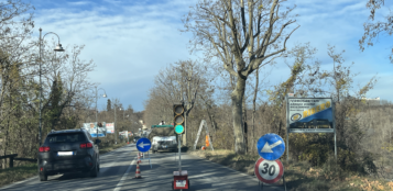 La Guida - Cuneo, lavori per gli alberi in via Circonvallazione Nord