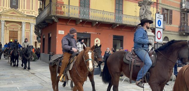 La Guida - Caraglio, sfilata dei cavalli per Sant’Antonio (video e foto)