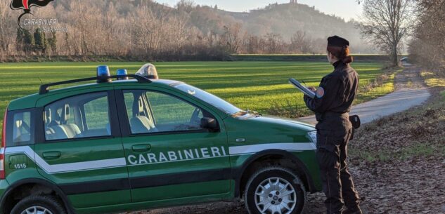 La Guida - Un anno di attività dei Carabinieri Forestali