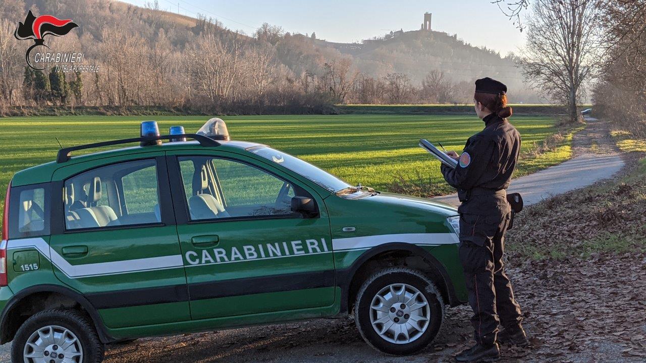 Un anno di attività dei Carabinieri Forestali