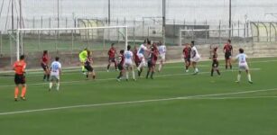 La Freedom cade sul campo del Genoa La Guida - La Freedom cade sul campo del Genoa