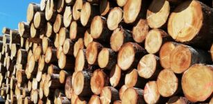 Un incontro a Sampeyre sull’attivazione della filiera del legno locale La Guida - Un incontro a Sampeyre sull’attivazione della filiera del legno locale