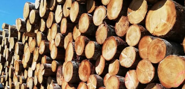 La Guida - Un incontro a Sampeyre sull’attivazione della filiera del legno locale