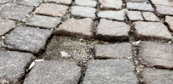 La Guida - Piazza Galimberti e il centro storico con “troppe buche e rattoppi”