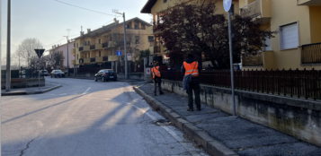 La Guida - Tecnici cercano tracce del tarlo nell’Oltrestura