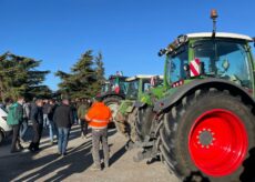 La Guida - La protesta degli agricoltori, 250 trattori in attesa di sfilare (video)