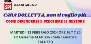 La Guida - Energia, come scegliere il gestore