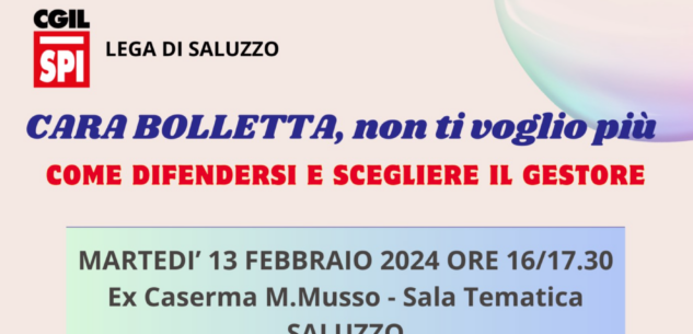 La Guida - Energia, come scegliere il gestore