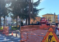 La Guida - Borgo, si abbattono gli alberi di Largo Battaglione Alpini