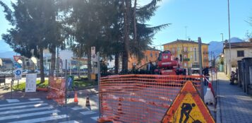 La Guida - Borgo, si abbattono gli alberi di Largo Battaglione Alpini