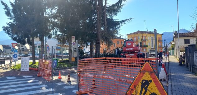 La Guida - Borgo, si abbattono gli alberi di Largo Battaglione Alpini