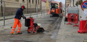 La Guida - Nuovi alberi al Donatello e asfaltature in via Sobrero e via Bongioanni