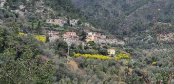 La Guida - Il sentiero delle mimose e la Cima Cialancia