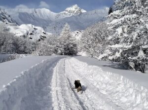 Bellino - Nevicata al Rifugio Meleze