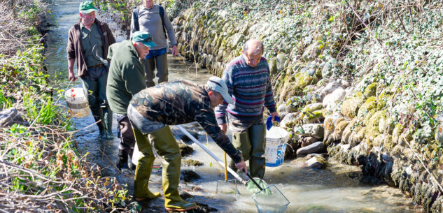 La Guida - Pescatori delle “Tre Bealere” hanno recuperato le trote nei canali