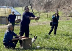 La Guida - Valgrana, liberato un falco pellegrino a Santa Maria della Valle (video)