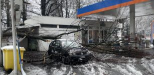 Un grosso ramo si abbatte su una macchina, illeso il conducente La Guida - Un grosso ramo si abbatte su una macchina, illeso il conducente