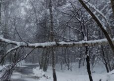 La Guida - Nevicata in corso disagi a Peveragno