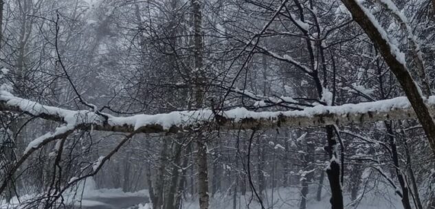 La Guida - Nevicata in corso disagi a Peveragno