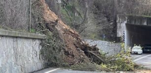 La Guida - Frana sulla strada tra Ceva e Nucetto, traffico rallentato