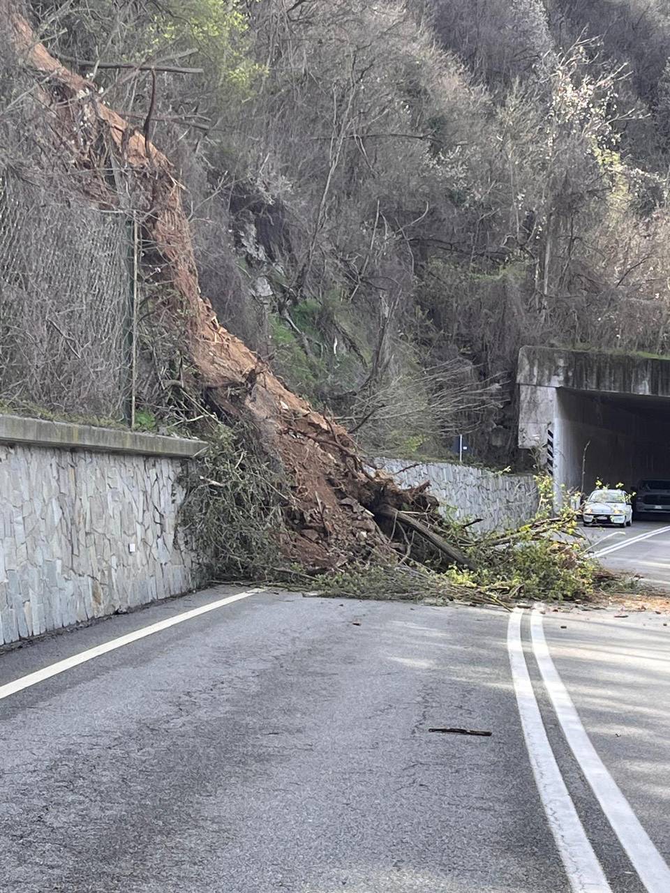 Frana sulla strada tra Ceva e Nucetto, traffico rallentato