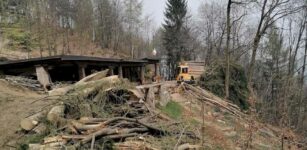 La Guida - Polemica per l’abbattimento di alberi sulla collina bovesana