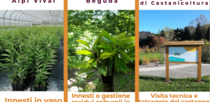 Iniziative di Formazione per i castanicoltori nell’ambito del progetto Alcotra ValOd’OC La Guida - Iniziative di Formazione per i castanicoltori nell’ambito del progetto Alcotra ValOd’OC