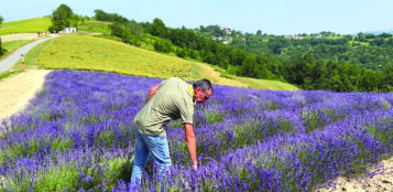 La Guida - Comparto biologico in crescita, in Italia oltre 2,3 milioni di ettari di superfici