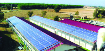 La Guida - In arrivo i primi bandi sull’agrivoltaico