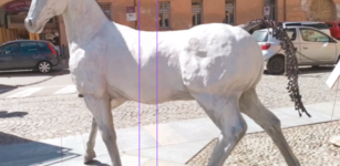 La Guida - Marengo il cavallo bianco di Napoleone a Cherasco