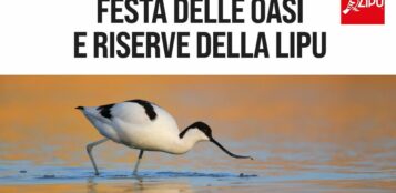 La Guida - Festa delle Oasi e delle riserve della Lipu alla riserva naturale di Crava-Morozzo