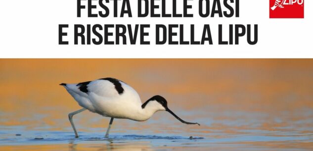 La Guida - Festa delle Oasi e delle riserve della Lipu alla riserva naturale di Crava-Morozzo