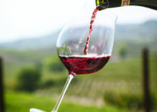 La Guida - Coldiretti: “Stop agli allarmi in etichetta sul vino”