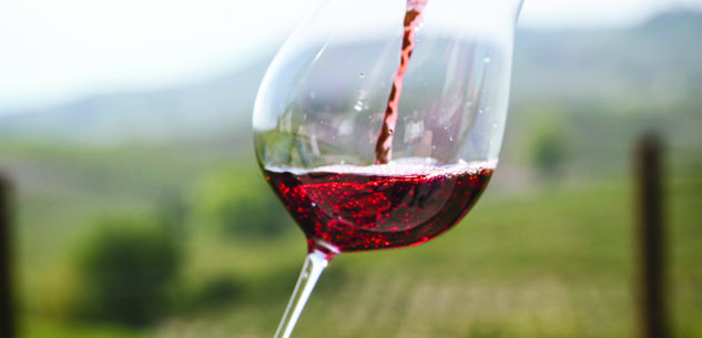 La Guida - Coldiretti: “Stop agli allarmi in etichetta sul vino”